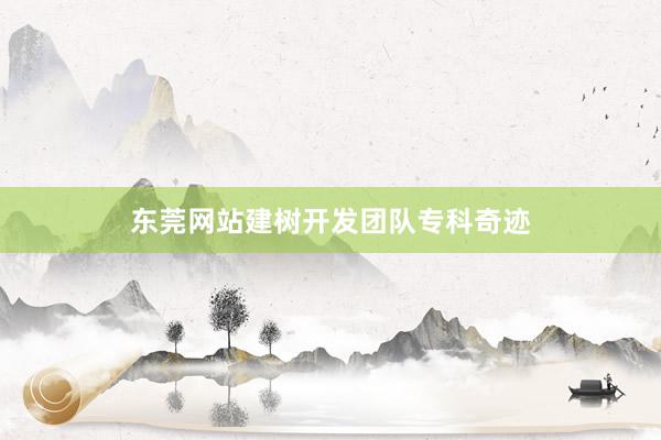 东莞网站建树开发团队专科奇迹